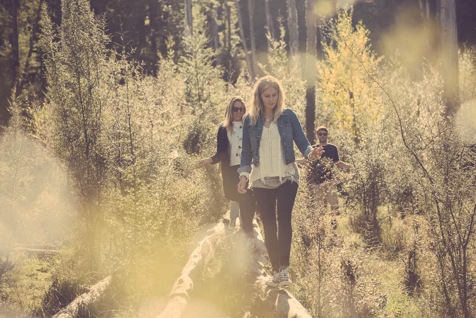 Wild Kiwi -New Zealand — photography by William Morgan, London