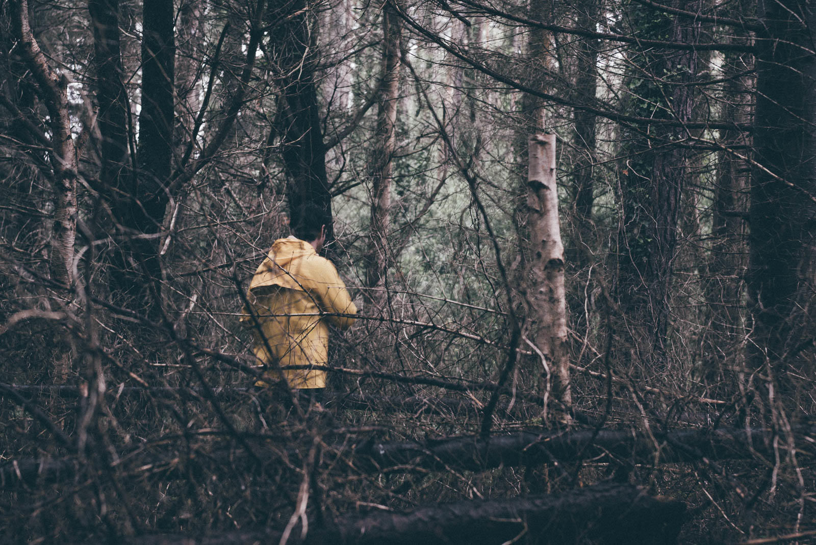 Project - C.A.L.M exhibition - Ireland — photography by William Morgan, London